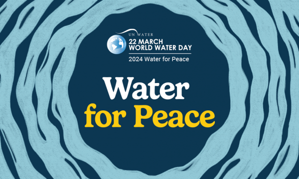 Giornata Mondiale dell'Acqua: L’acqua come risorsa per la pace 
